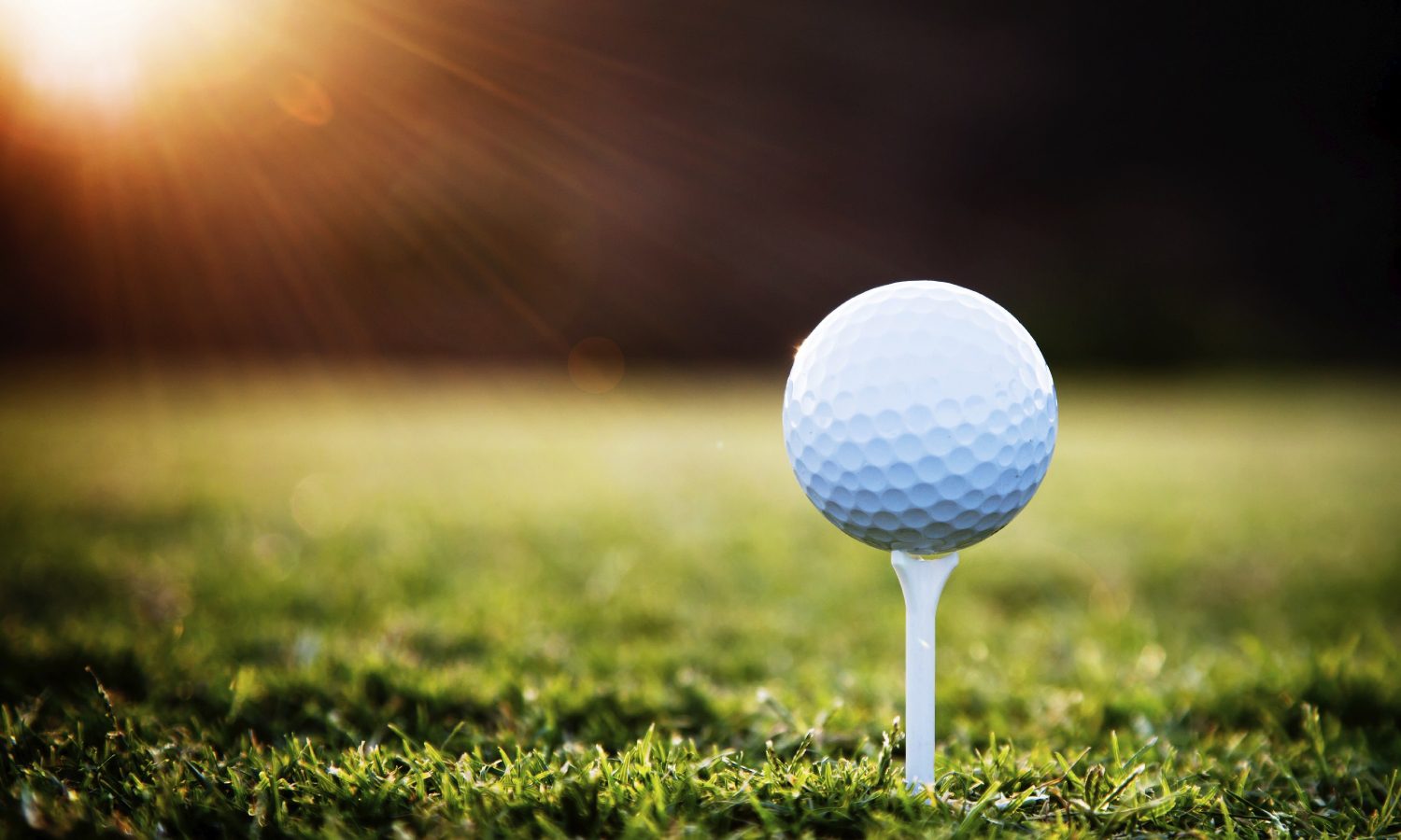 Closeup of a golf ball sitting on a tee with sunshine coming in from the upper left.